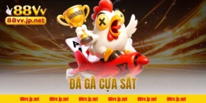 Đá gà cựa sắt