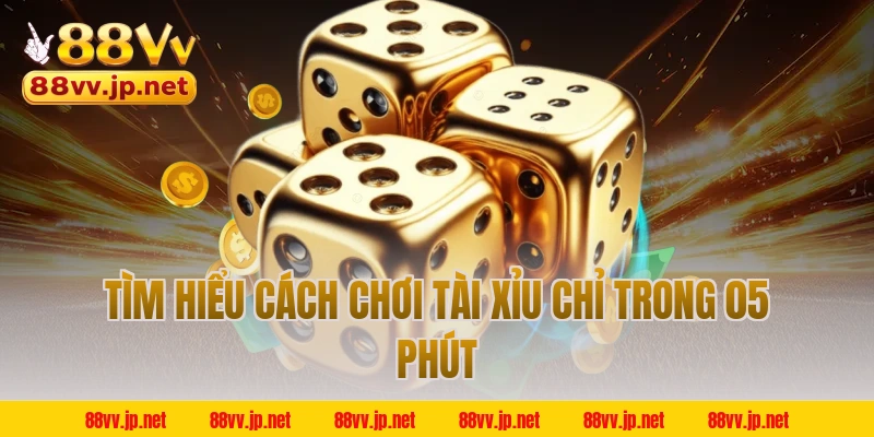 Tìm hiểu cách chơi Tài Xỉu chỉ trong 05 phút
